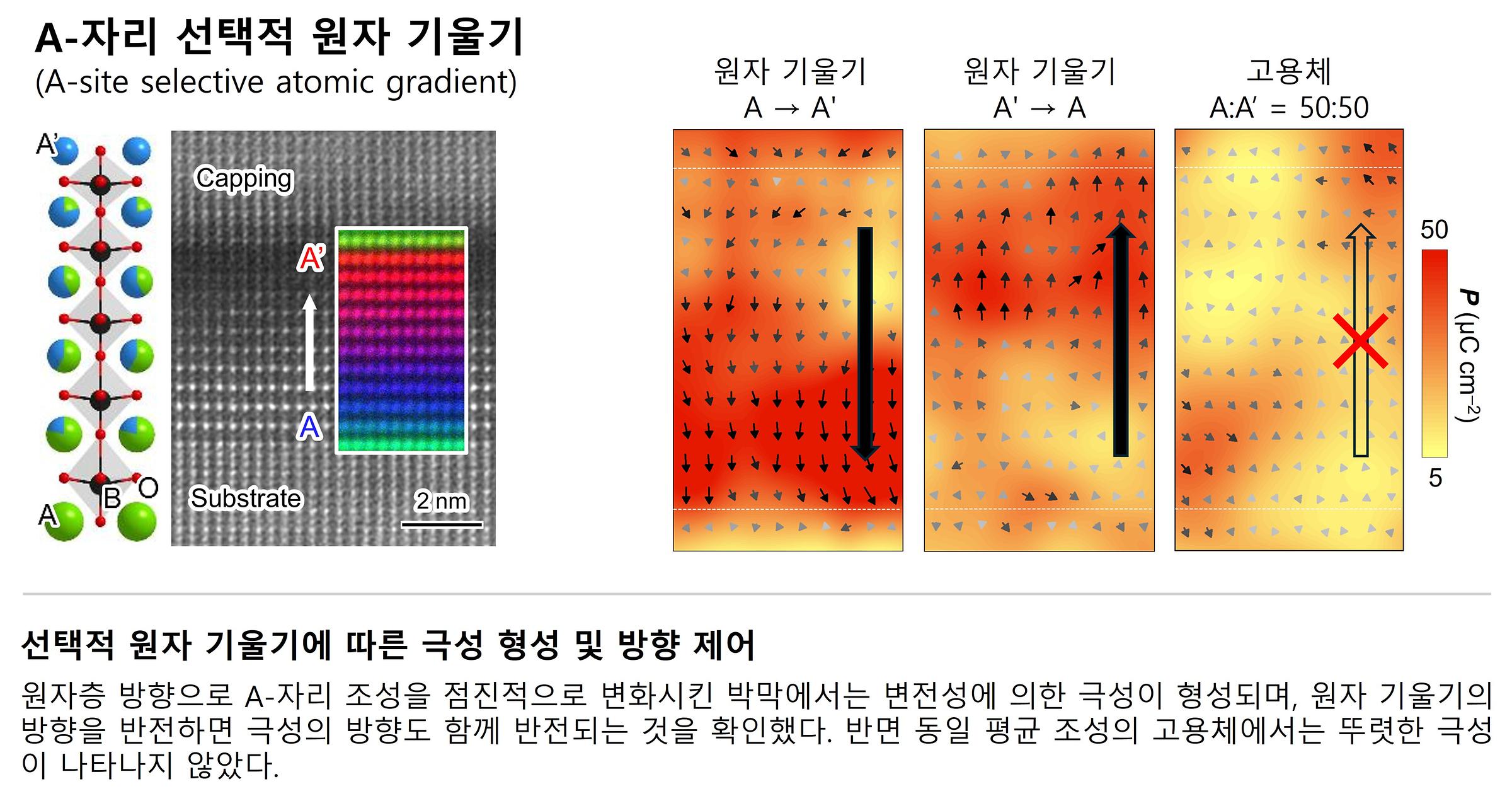 [이대수 교수, 이길호 교수] Synergistic polar states by selective atomic gradients
